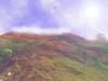 08-09